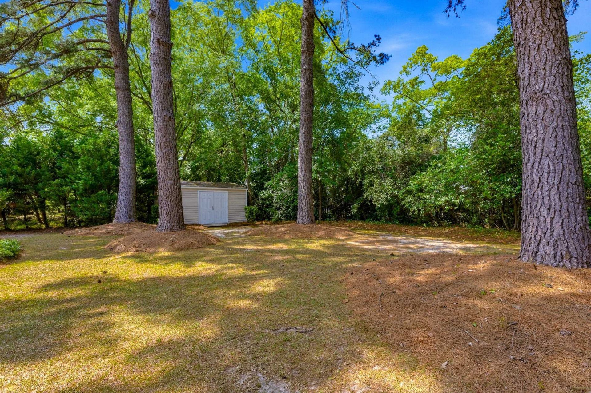 3068 Sweetpine Ln.  Photo 33