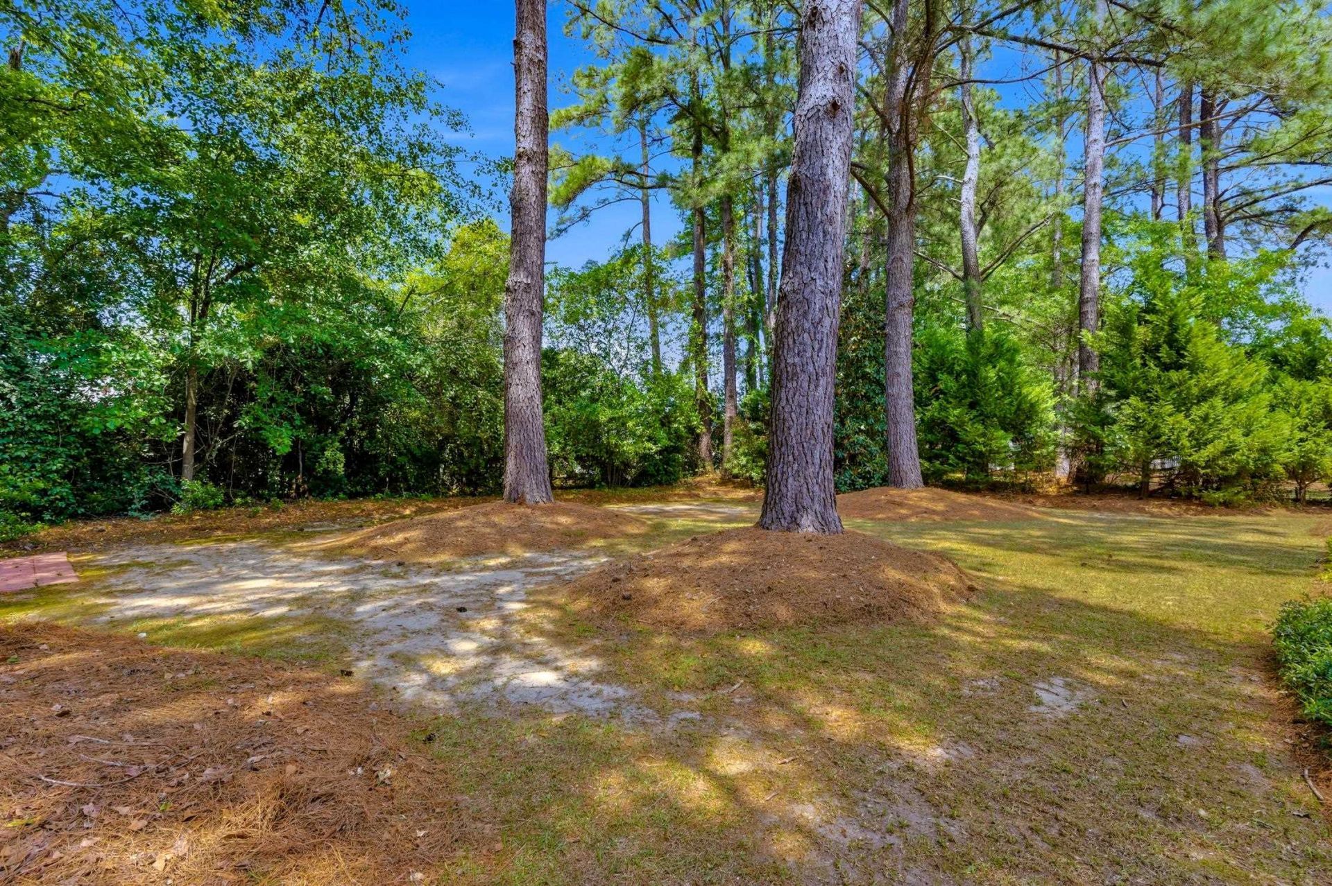 3068 Sweetpine Ln.  Photo 34