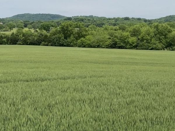 513 Suzanne Way, Bethpage, TN 37022