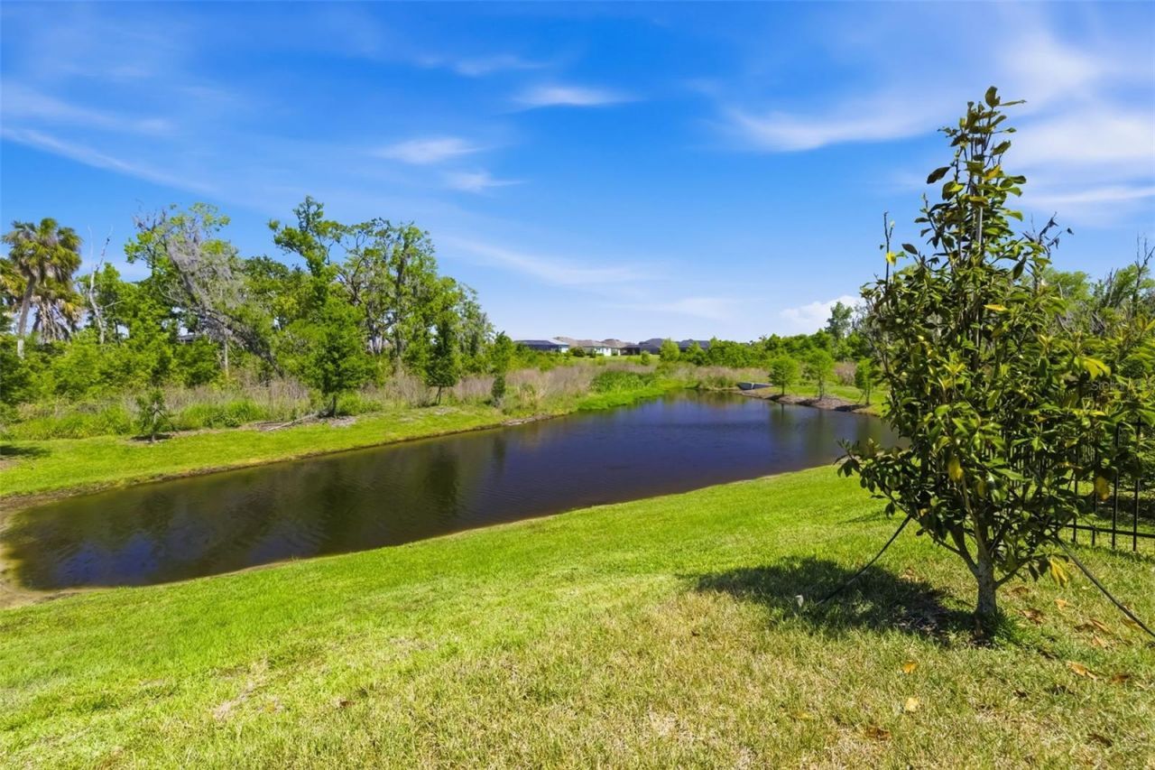 14281 17th Court E, Parrish, FL 34219 Photo