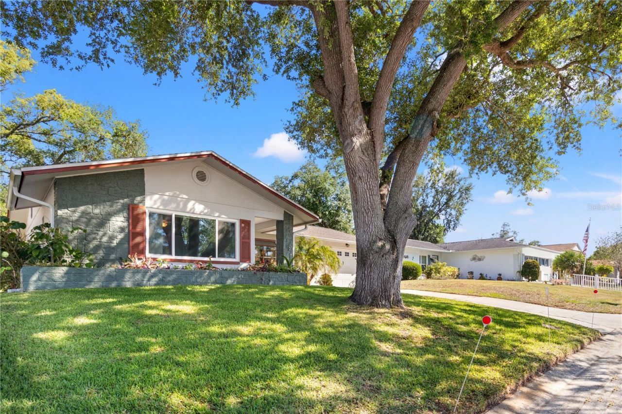 10616 Springwood Drive, Port Richey, FL 34668 Photo