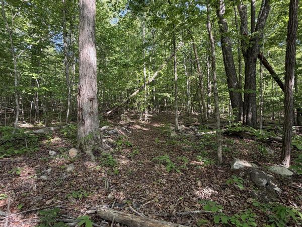 Lot 39 Cardinal Drive, Newport, TN 37821