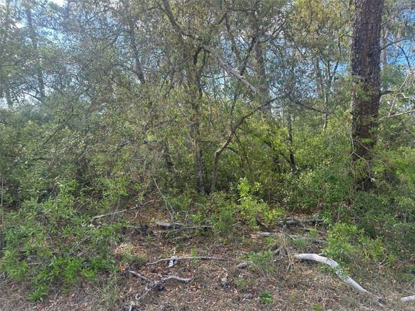 Lot 6 SW 170TH PLACE , OCALA, FL 34473