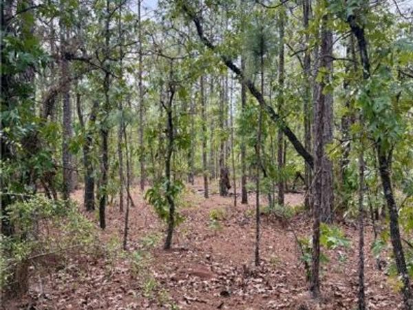 0 Longleaf Road , Citronelle, AL 36522