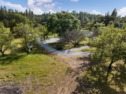 7301 Grizzly Flat Rd, Somerset, CA 95684 Photo