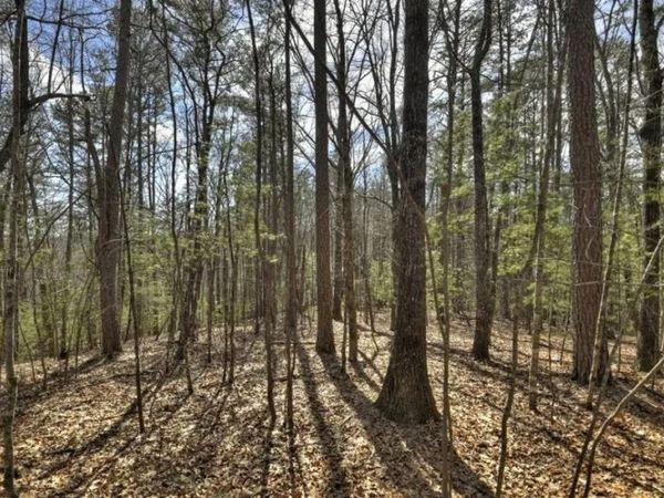 Lot 1 Chestnut Gap Road, Blue Ridge, GA 30513