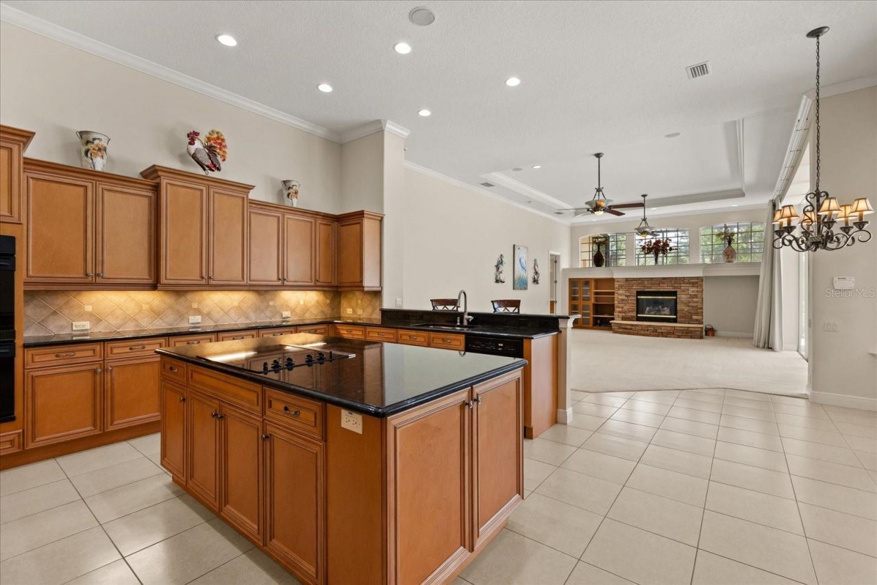 420 Valley Stream Drive, Geneva, FL 32732 Photo