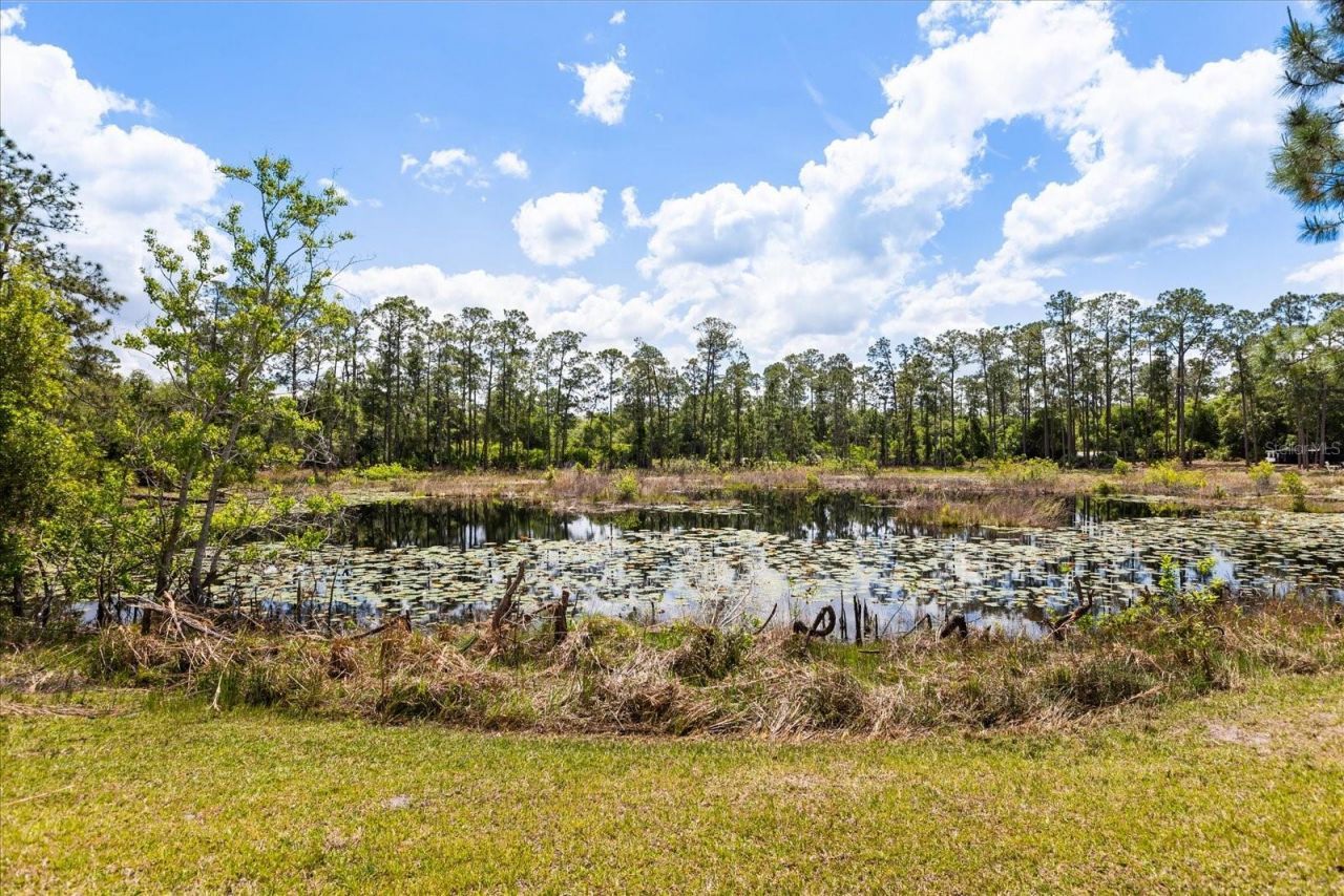 420 Valley Stream Drive, Geneva, FL 32732 Photo