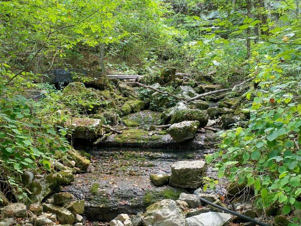 7659 Burks Rd, Christiana, TN 37037