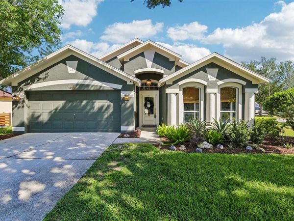 19918 ELLENDALE DRIVE , LAND O LAKES, FL 34638