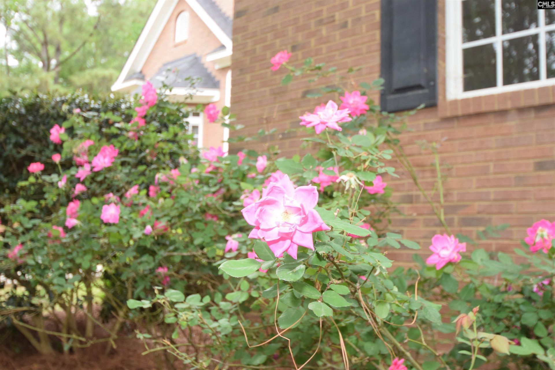 209 Kelsey Glen Drive  Photo 96