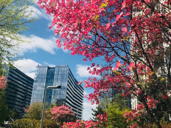 131-03 40th Road , Unit 11S, Flushing, NY 11354