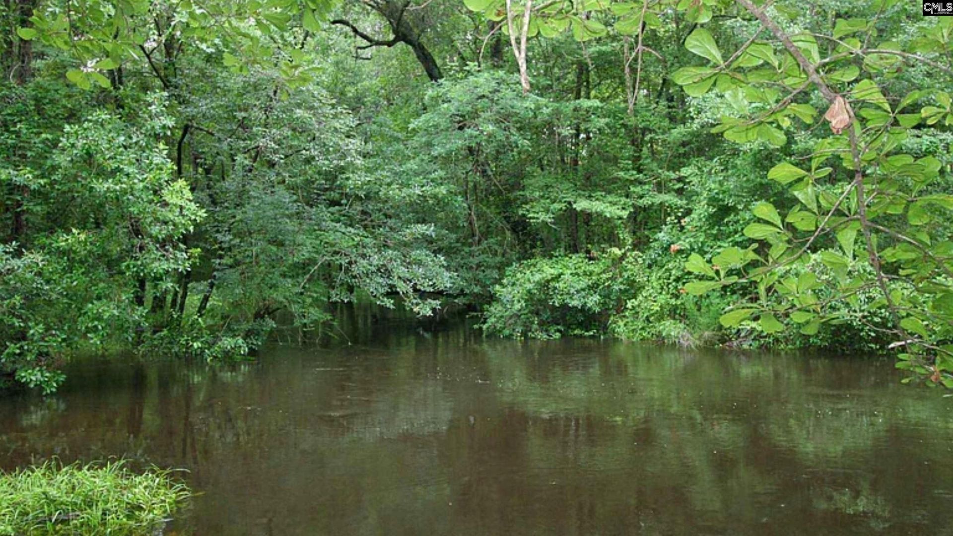 1017 Blackbird Road  Photo 34