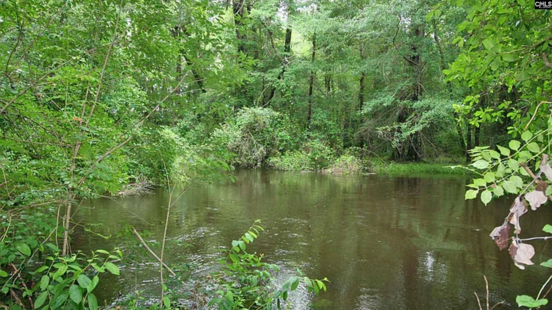 1017 Blackbird Road  Photo 35