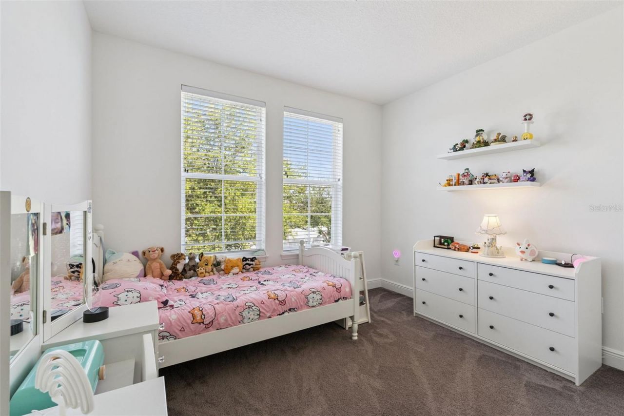 7212 Desert Mandarin Street , Winter Garden, FL 34787 Photo