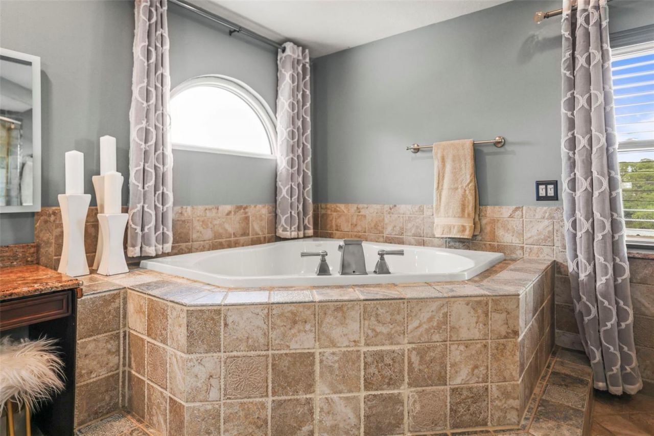 412 Orchid Lane , Palm Harbor, FL 34683 Photo