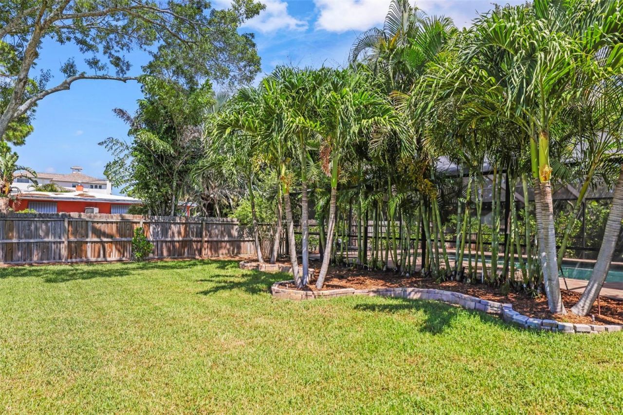 412 Orchid Lane , Palm Harbor, FL 34683 Photo