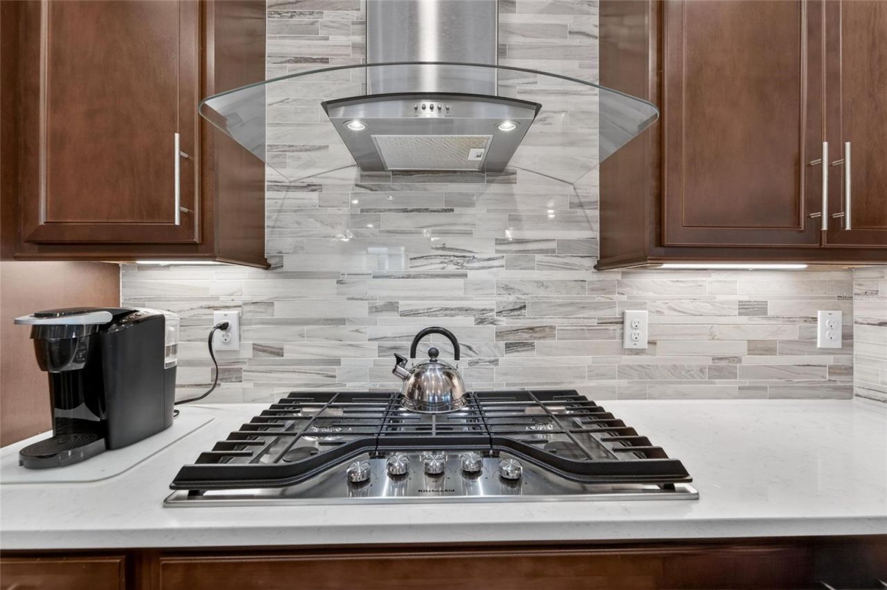 4729 Ballast Crest Cove , Land O Lakes, FL 34638 Photo