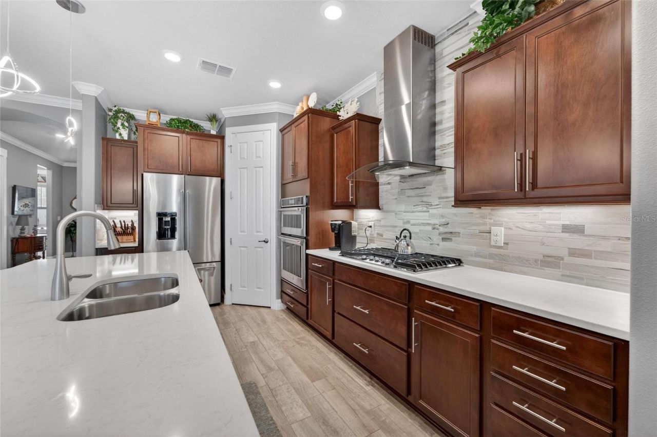 4729 Ballast Crest Cove , Land O Lakes, FL 34638 Photo