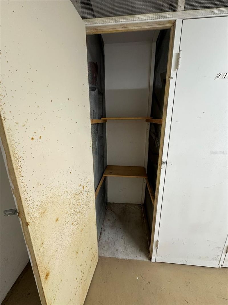 4885 1st Street Ne, Unit 212, Saint Petersburg, FL 33703 Photo