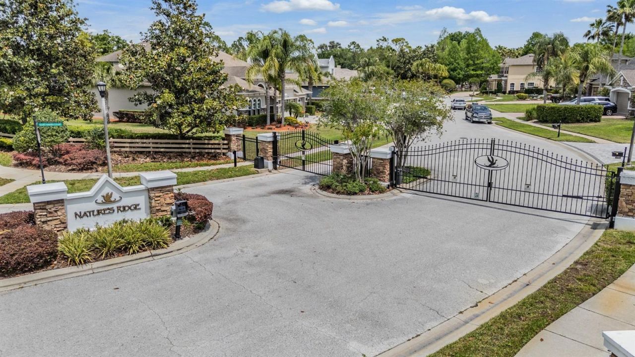 21246 Quiet Haven Court, Land O Lakes, FL 34637 Photo