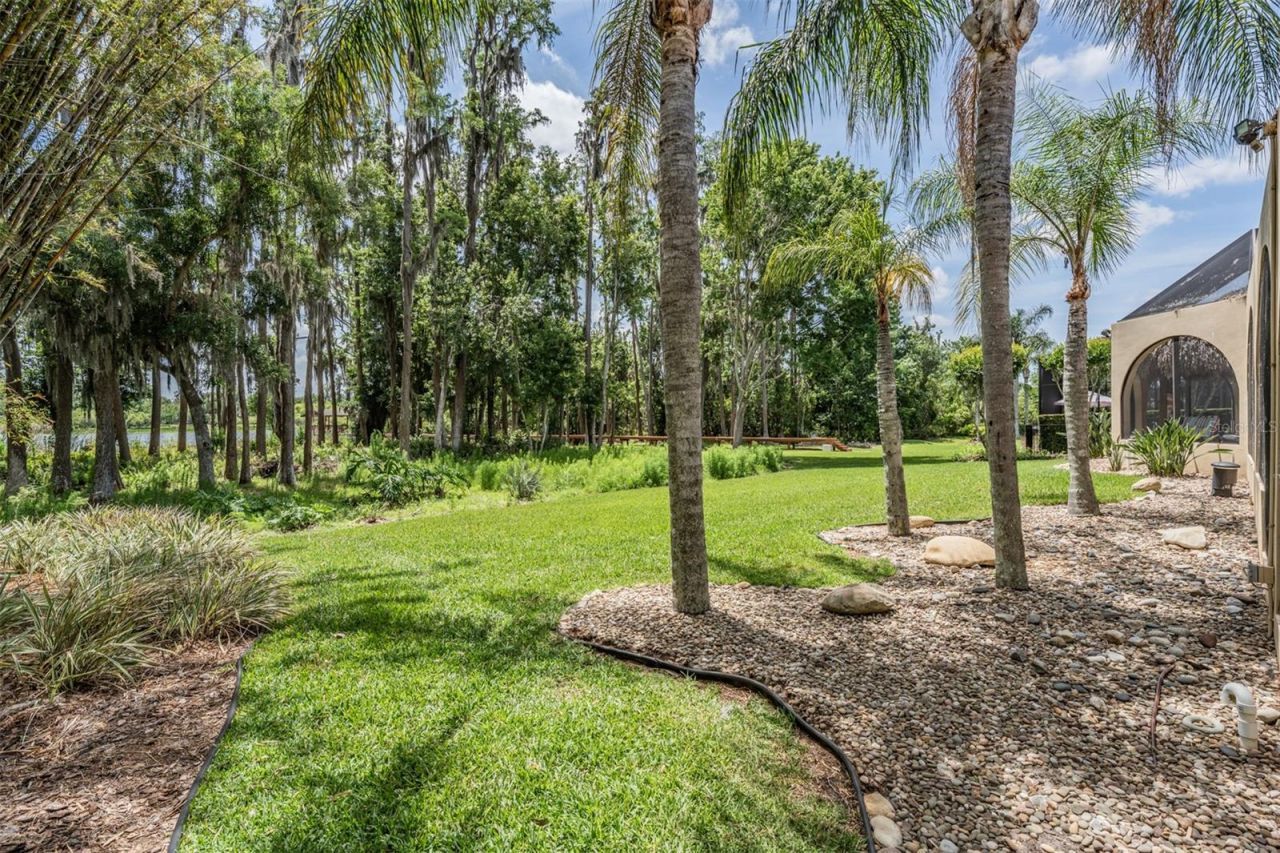 21246 Quiet Haven Court, Land O Lakes, FL 34637 Photo