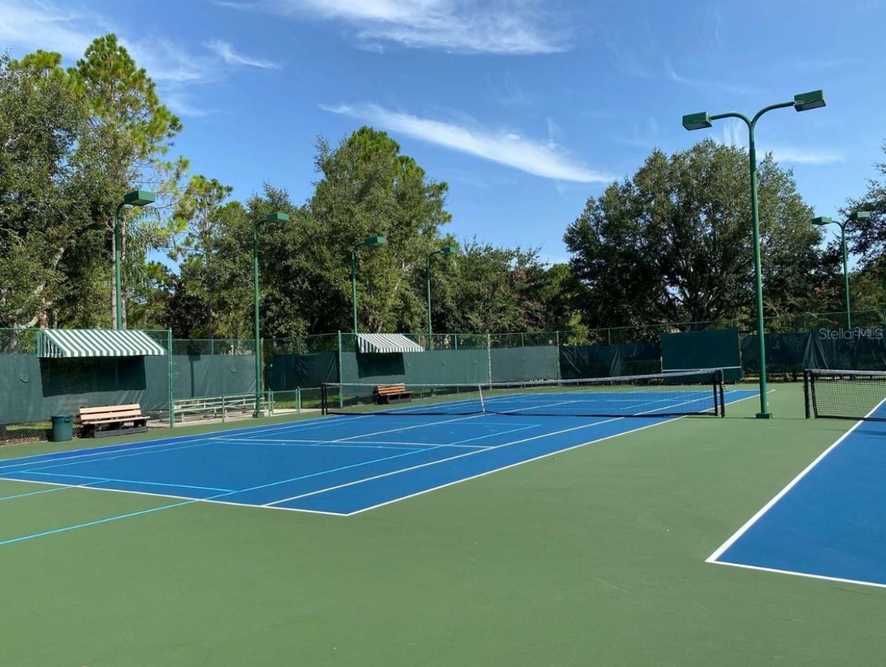 21246 Quiet Haven Court, Land O Lakes, FL 34637 Photo
