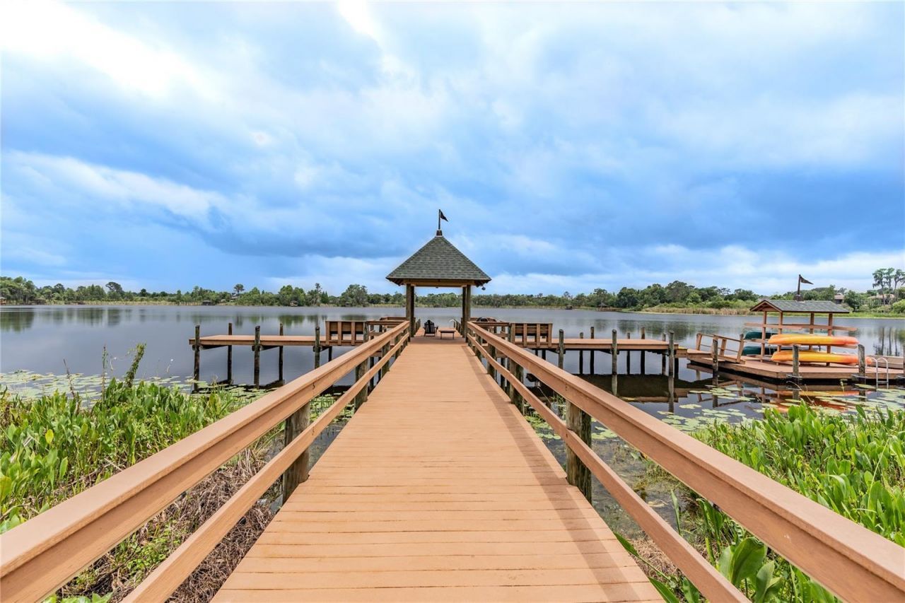 21246 Quiet Haven Court, Land O Lakes, FL 34637 Photo