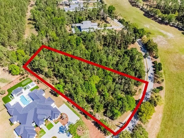 15946 PENDIO DRIVE , BELLA COLLINA, FL 34756