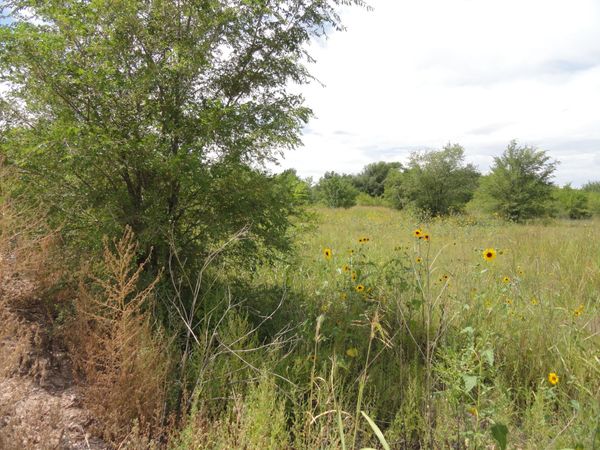 Molina Road , Peralta, NM 87042