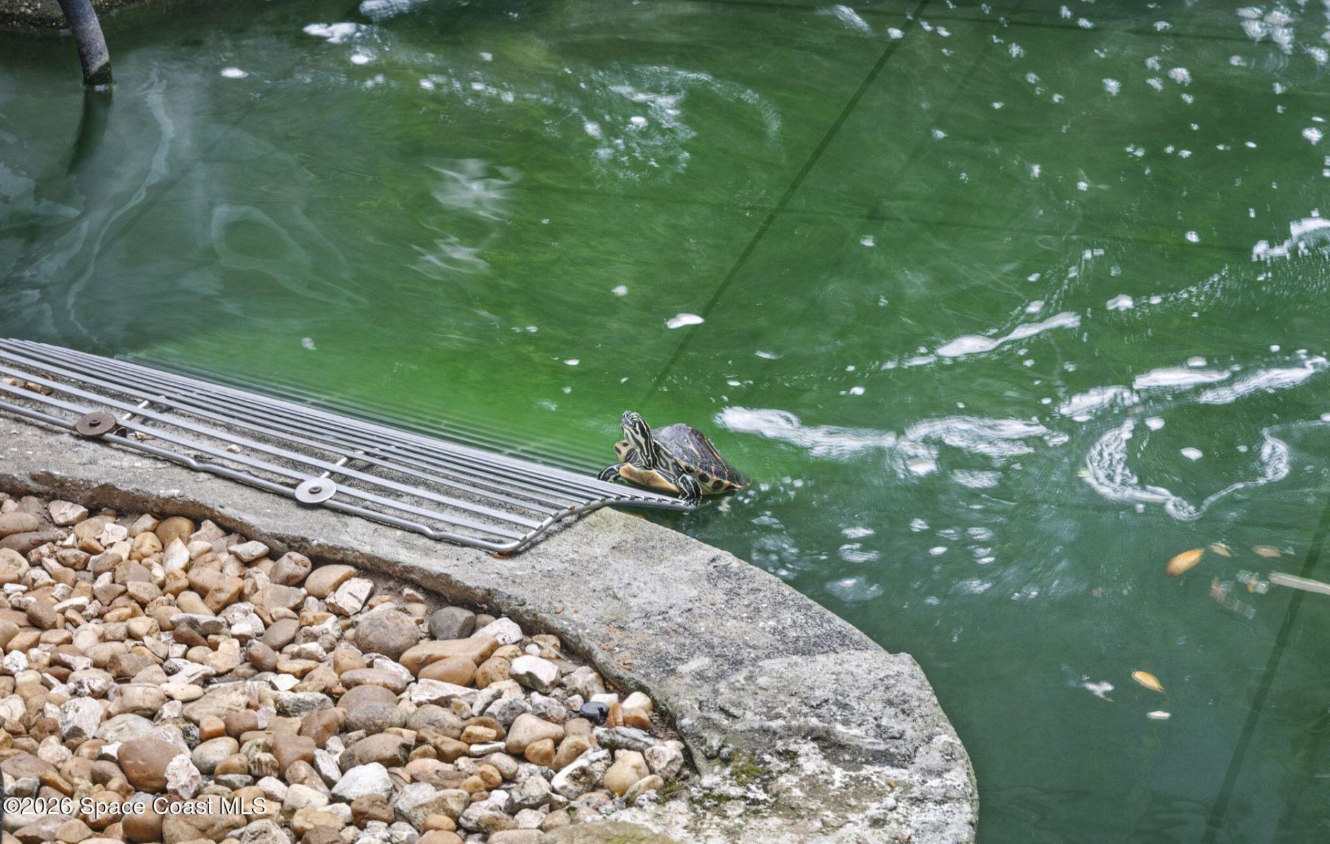 3884 Goshawk Place , Titusville, FL 32796 Photo