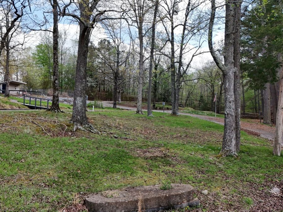 Property Image 74