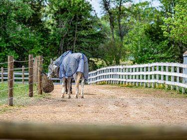 12500 SHANNON HILL RD, Louisa, VA 23093