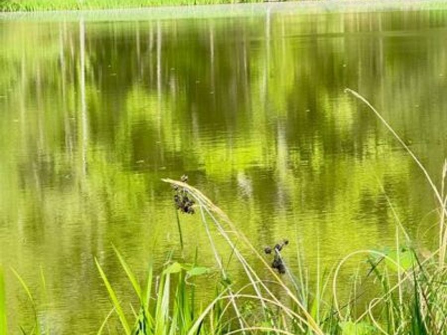 Property Image 76