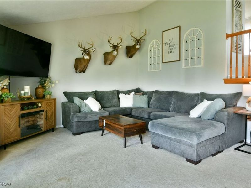 193 Chapel Hill Drive NW, Warren, OH 44483 Photo 11