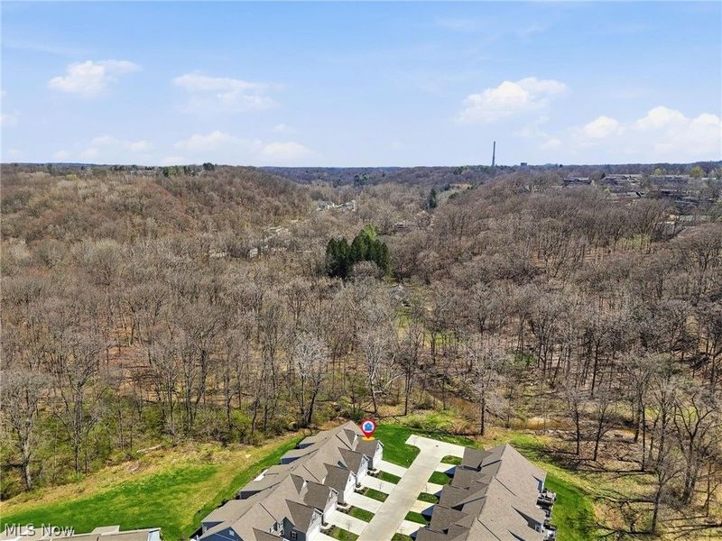 1581 Mud Brook Court , Akron, OH 44313 Photo 6