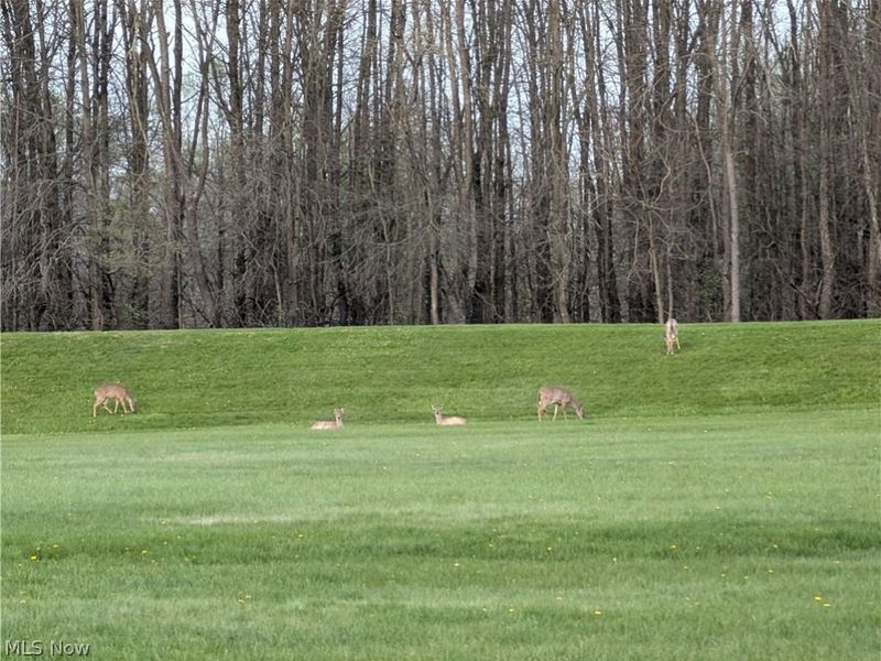 326 Park Drive SE, Brewster, OH 44613 Photo 26