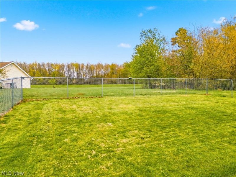 326 Park Drive SE, Brewster, OH 44613 Photo 36