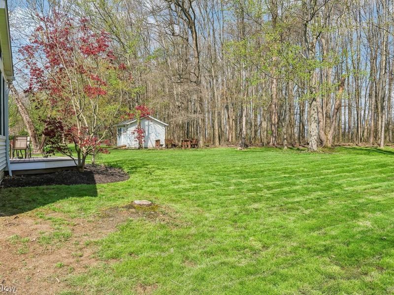 8688 Lake In The Woods Trail , Chagrin Falls, OH 44023 Photo 57