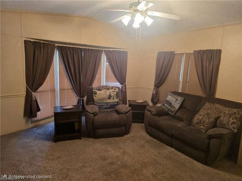 1229 Columbiana- Lisbon Road , Unit 41, Columbiana, OH 44408 Photo 8