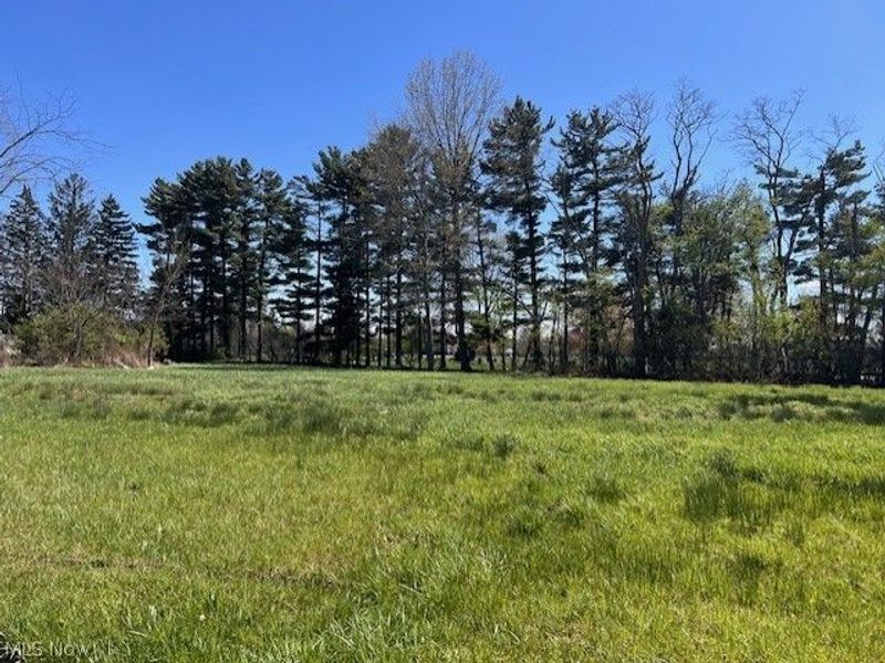 Lot 18 State Route 82 , Aurora, OH 44202 Photo 2