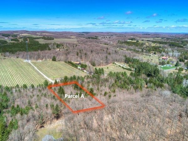 Bodus Road E, Cedar, MI 49621