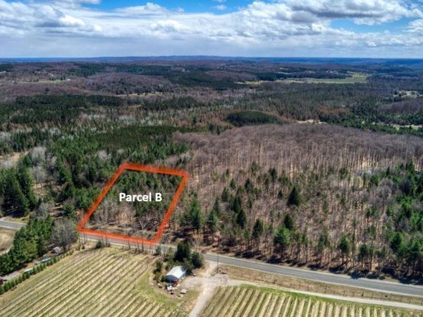 Bodus Road E, Cedar, MI 49621