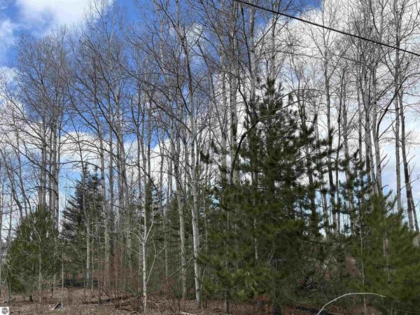 2450 Marshall Road N, Honor, MI 49640