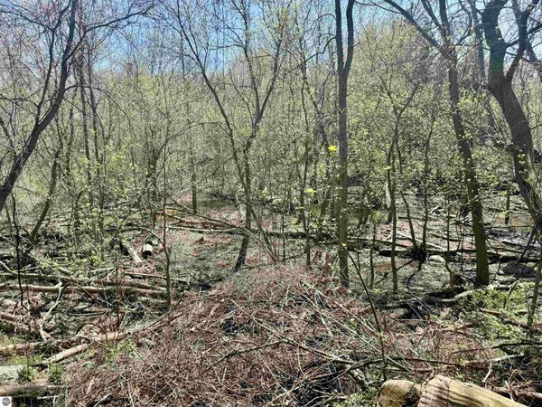 11000 Riverside Drive, St Louis, MI 48880