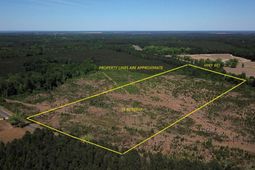 000 Ponderosa Road photo 4