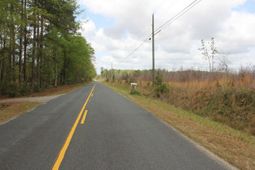 000 Ponderosa Road photo 4