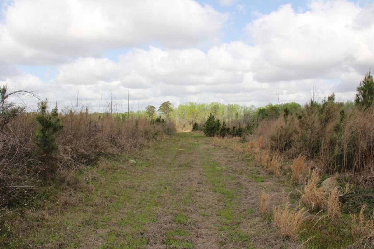000 Ponderosa Road Photo 4