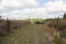 000 Ponderosa Road photo 4