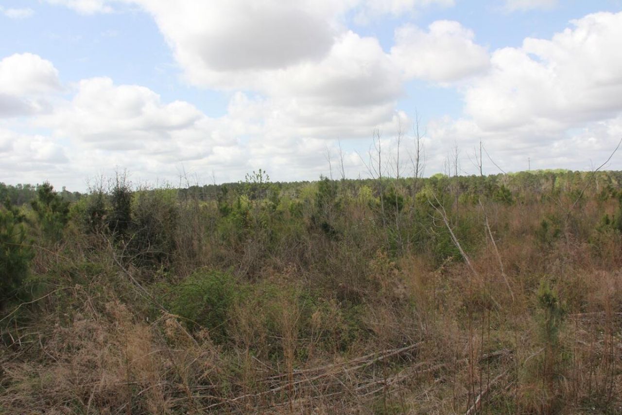 000 Ponderosa Road Photo 5